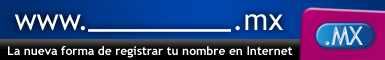 nic mx